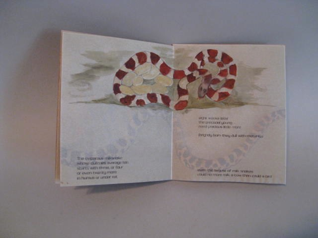 Alicia Baliey-That Milksnake Story