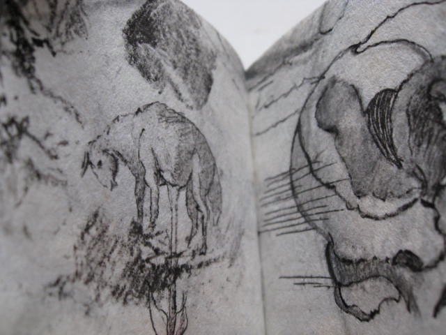 A Little Book of Drawings