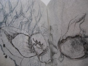 A Little Book of Drawings