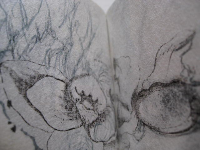 A Little Book of Drawings