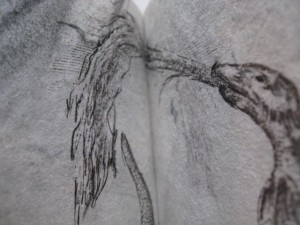 A Little Book of Drawings