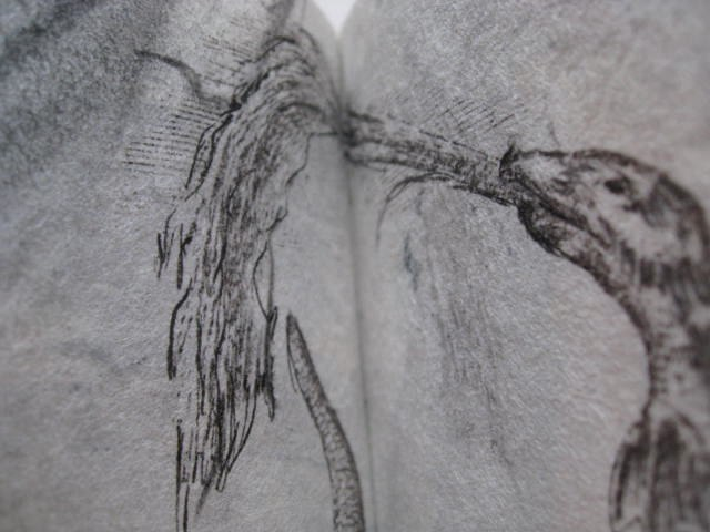 A Little Book of Drawings
