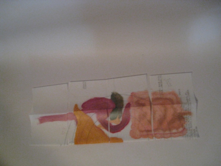 WIP Picture Book