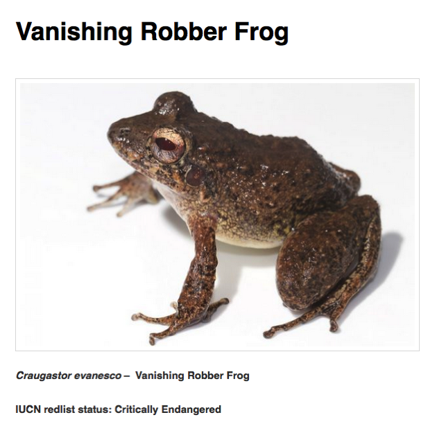 Craugastor evanesco redlist