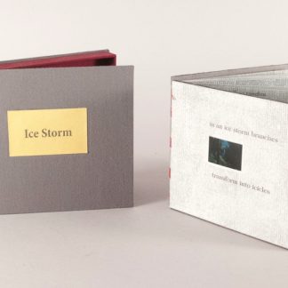 Ice Storm - 2009