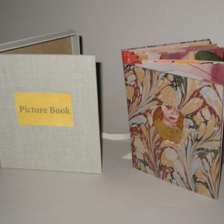 Picture Book - 2009