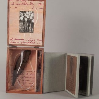 Bird Box - To Value Goodness - Mourning Dove - 2011 - SOLD