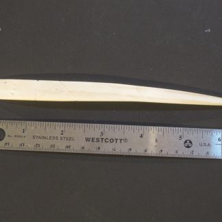Hand carved bone tool, traditional shape