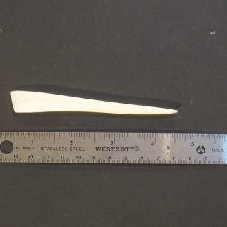 Hand carved bone tool, rounded + flat ends (small)