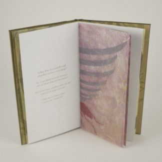 Book of Questions Volume  11 - 2020