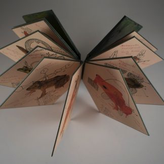 Evanesco - a selection of beleaguered frogs