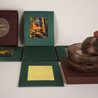 Forest Sphere - Roosevelt Forest - SOLD