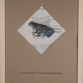 Vincente's Poison Frog - SOLD