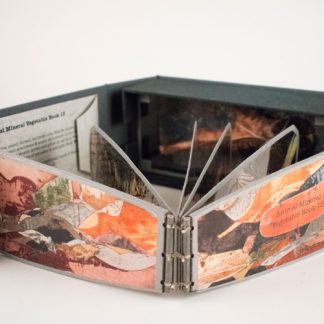 Animal Mineral Vegetable Book 13