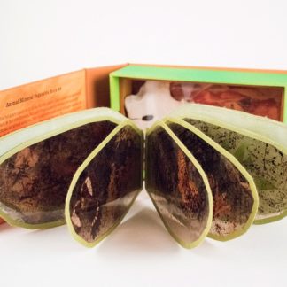 Animal Mineral Vegetable 9