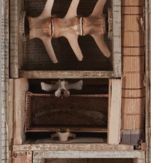 Spine - SOLD