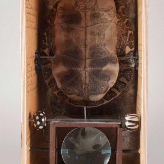Turtle Box - SOLD