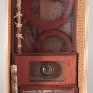 Snake Box