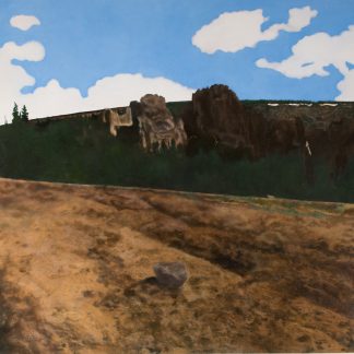 Wheeler Geologic Area 4